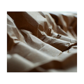 Sealed Air Paper Cushioning & Void Fill