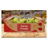 100% Recycled Corrugated Die Cut Produce Tray